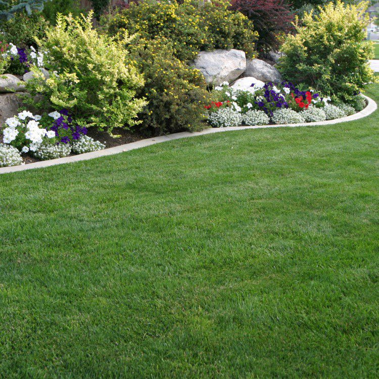 Home Remodeling and Real Estate services in Houston, TX Home Remodeling and Real Estate services in Houston, TX